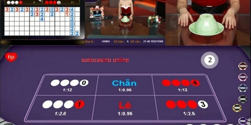 Bắt cầu xóc đĩa là kỹ năng phân tích cá cược đỉnh cao