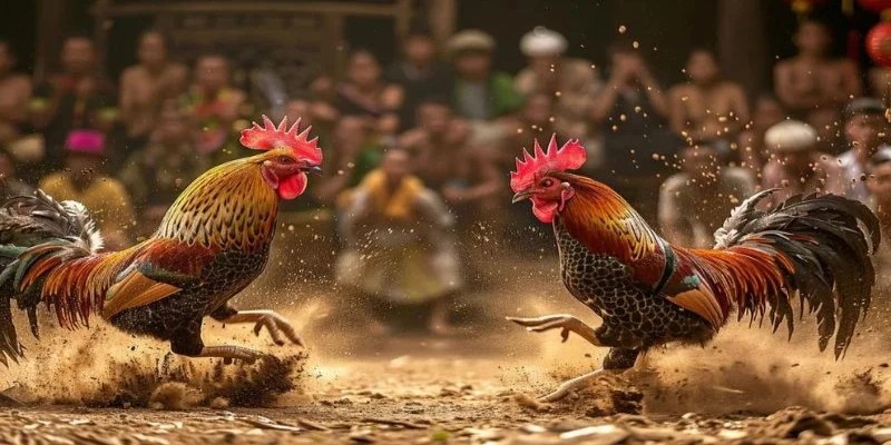 Chọn thời điểm thích hợp để xuống tiền để mang về chiến thắng cho người chơi