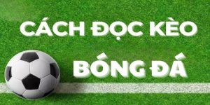 Cách đọc kèo Châu Á cho người mới khi cá cược online
