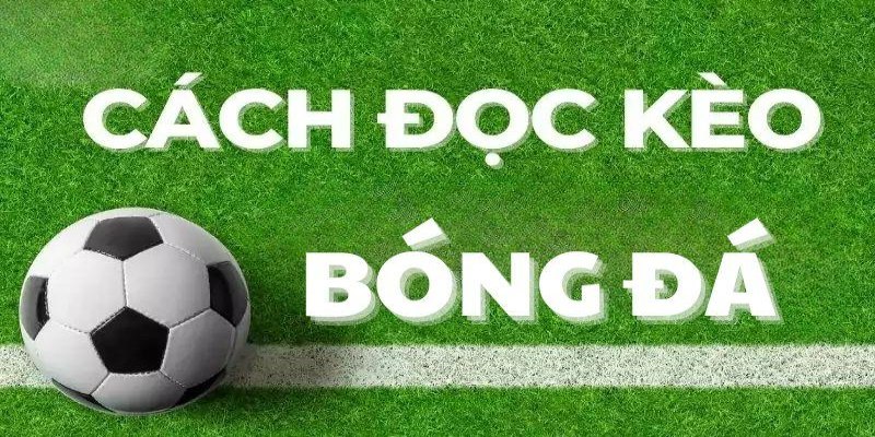 Cách đọc kèo Châu Á cho người mới khi cá cược online