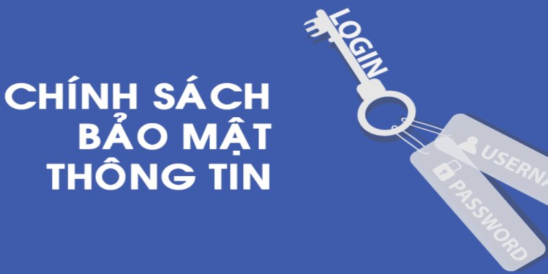 Quyền người dùng trong chính sách bảo mật là yếu tố cần nắm cho mọi người