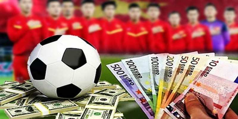 Làm sao để sử dụng mà không vi phạm trong các ván cá cước trực tuyến