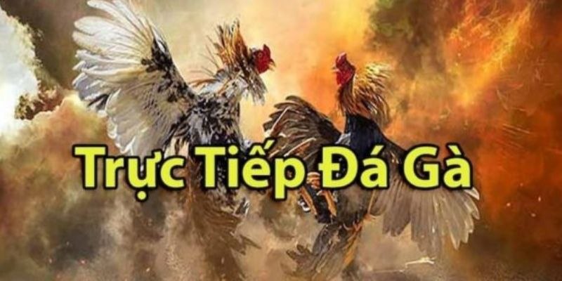 Ghi chép kết quả và phân tích sau trận giúp người chơi tăng kỹ năng